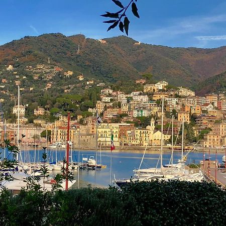 Bella Vacanza - City Center -Air Conditioning -Wi-Fi Rapallo Eksteriør bilde